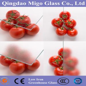 זכוכית מפוזרת לחממה