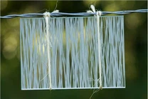 הדפסת משי זכוכית דקורטיבית